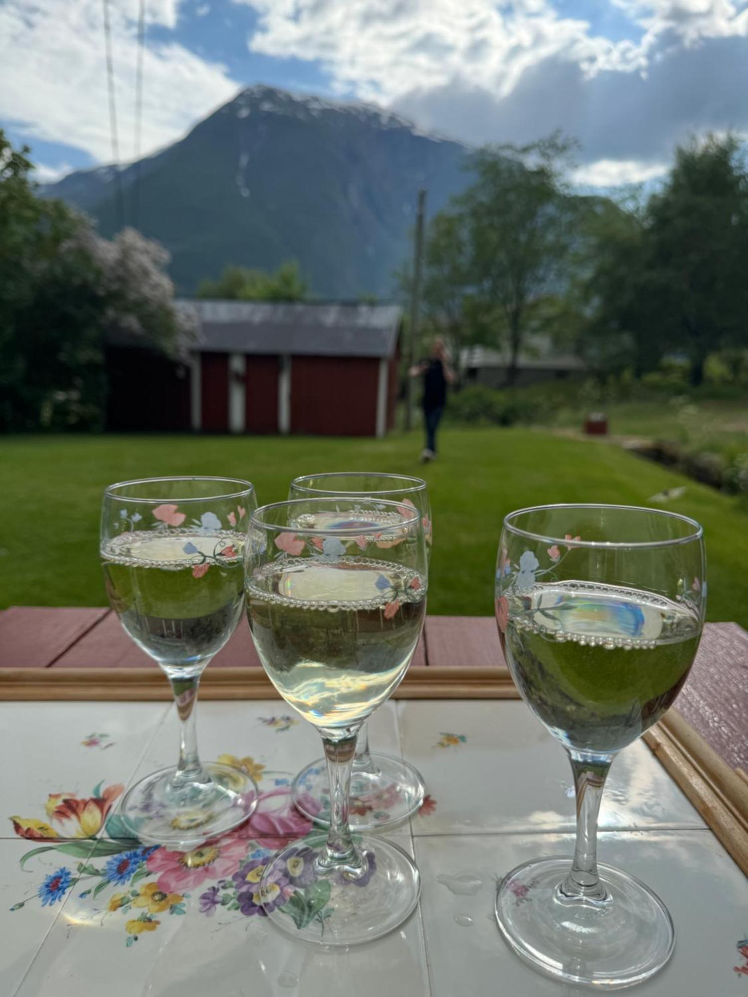 Aobrio Holidayhouse, Authentic Norwegian Farmhouse Close To Flam Lærdalsøyri Exterior foto
